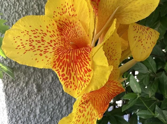 Serene Views Апартаменты Пилос